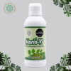 morin vi 1