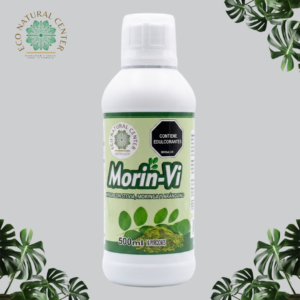 morin vi 1