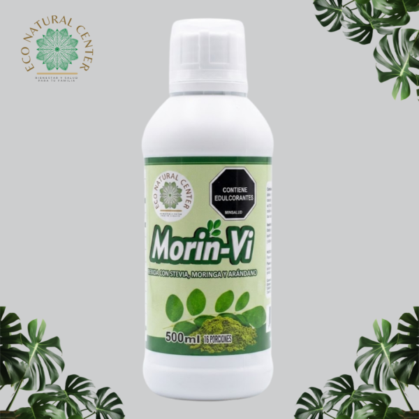morin vi 1